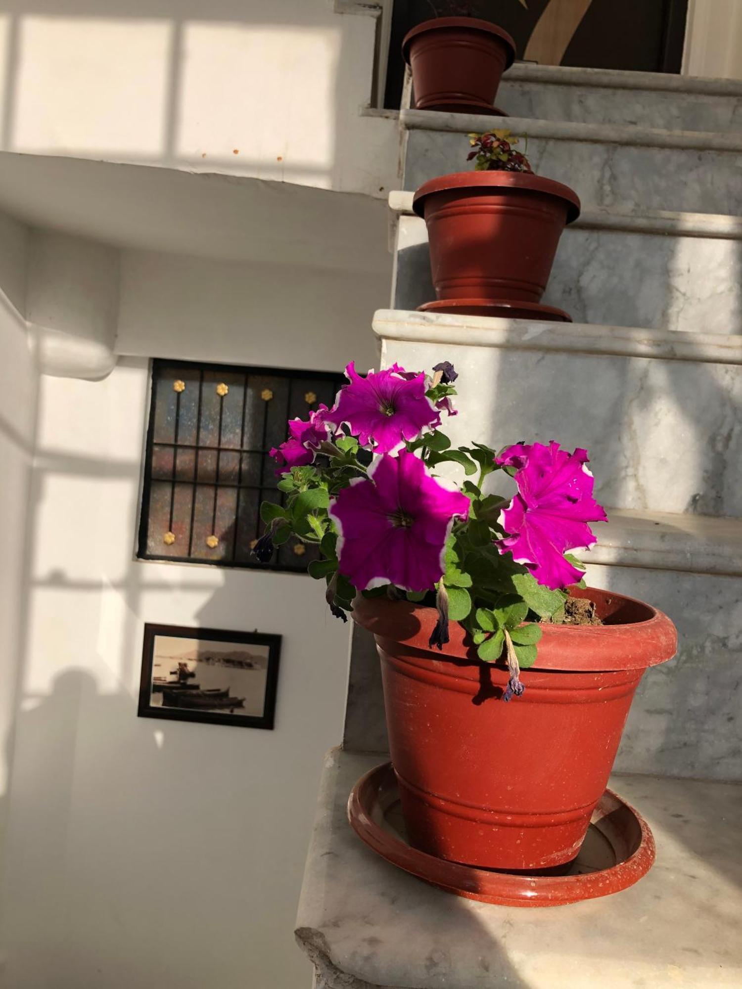 Hotel Nirvana Lakeside Udaipur Exterior photo